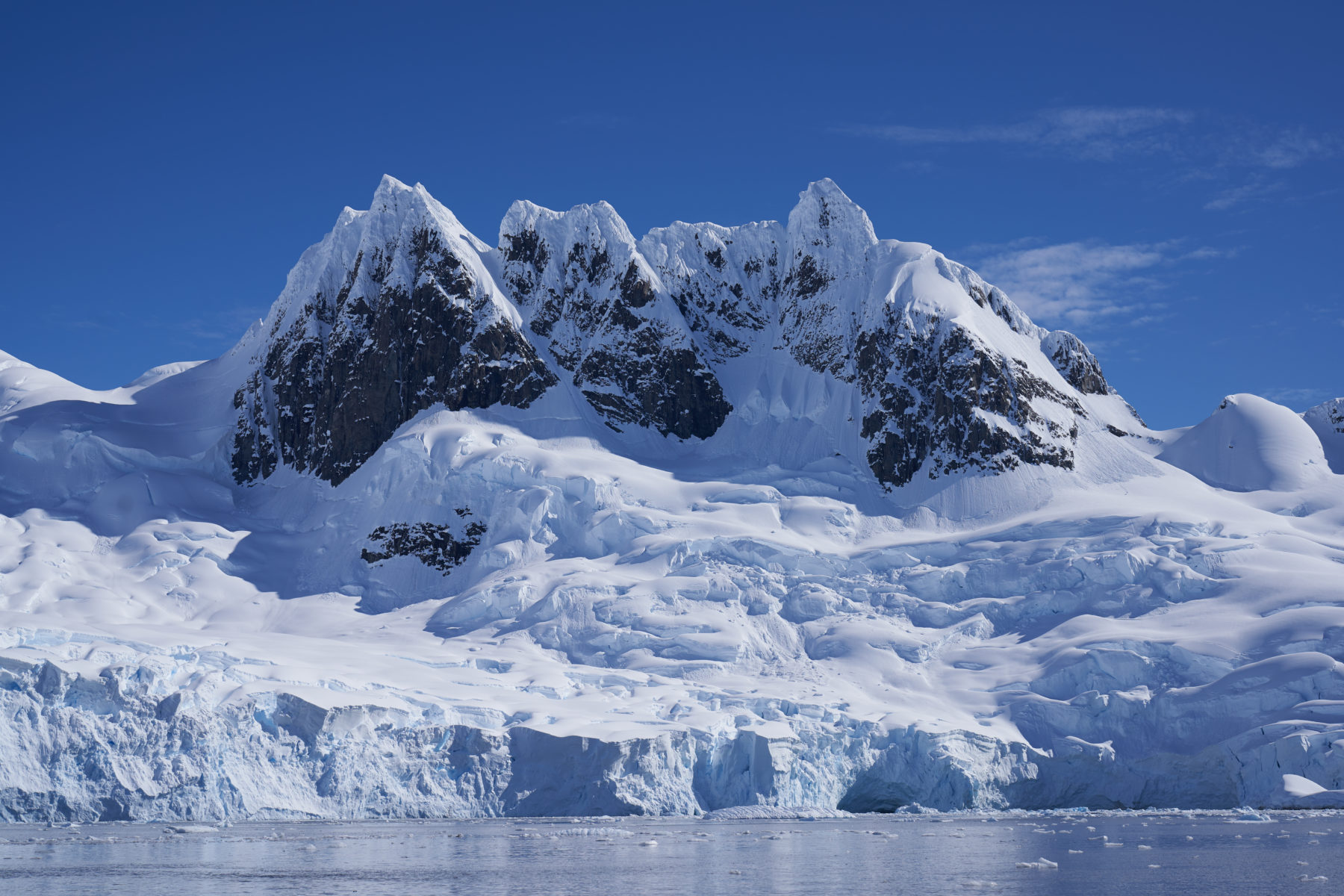5 razones para visitar la Antártica