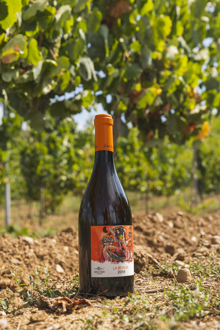 ¿Cómo ser el anfitrión perfecto de una cena inolvidable en casa? - botellas-bierzo-septiembre-2022-lq-29