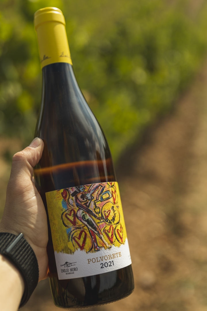 ¿Cómo ser el anfitrión perfecto de una cena inolvidable en casa? - botellas-bierzo-septiembre-2022-lq-9