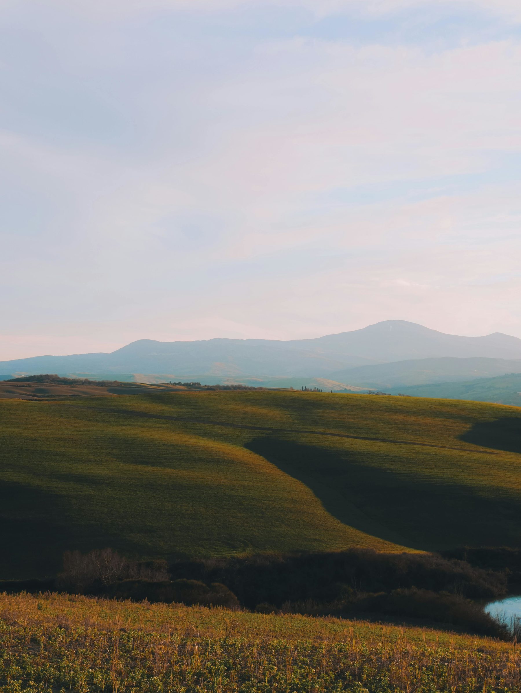 Explora la Toscana a caballo: un viaje ecuestre por la cuna del Renacimiento