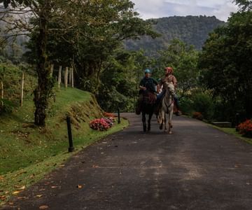 costa rica