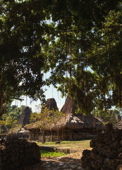 The Sanubari