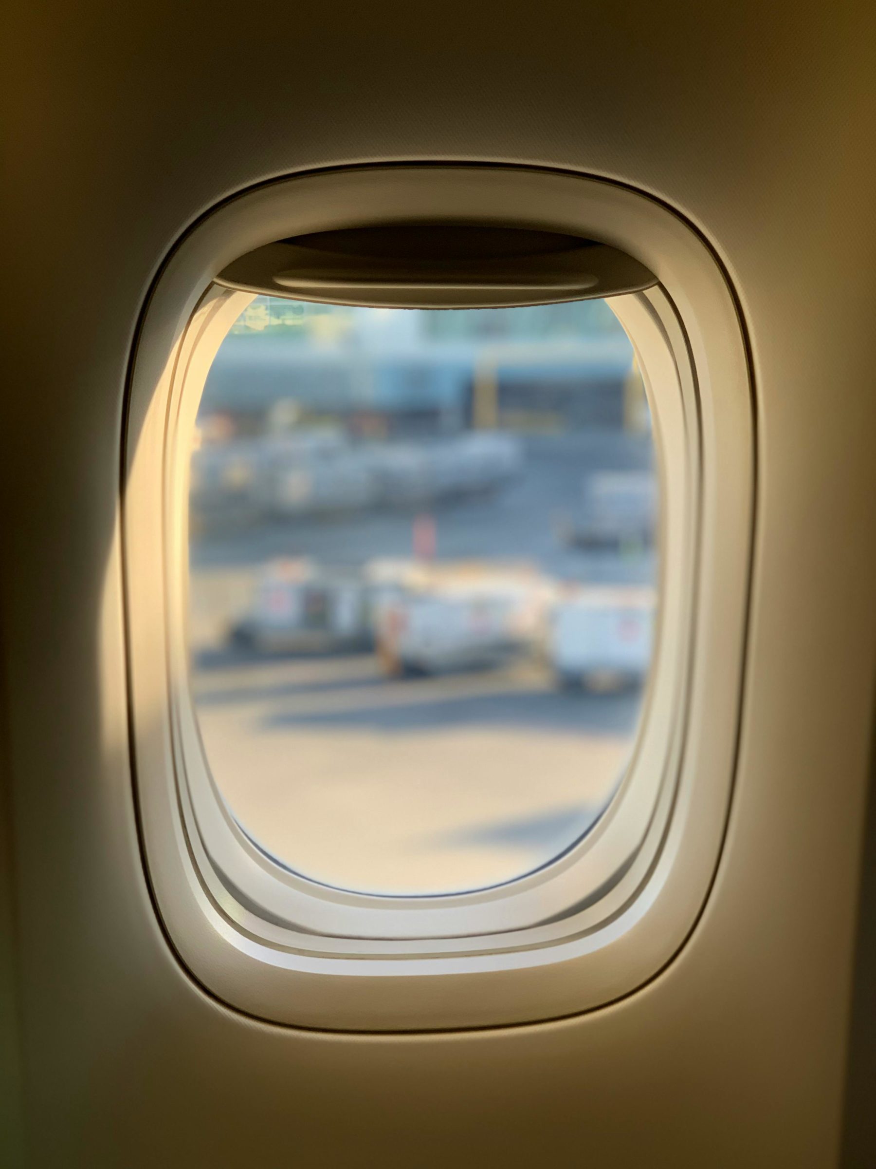 viajar mascotas