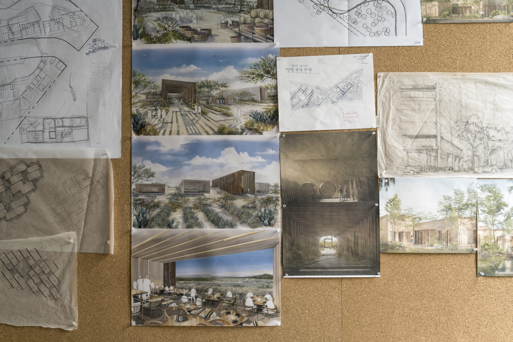 Estudio AMA: Arquitectura con narrativa