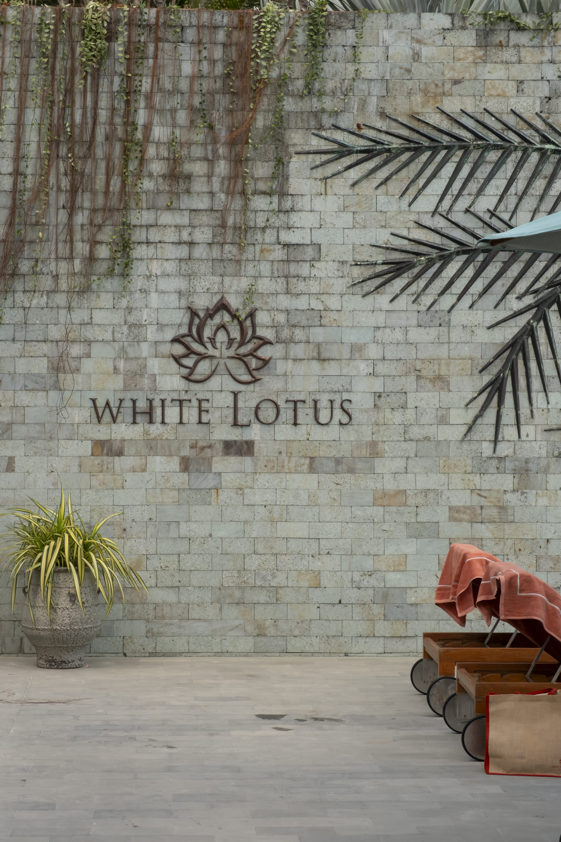 The White Lotus