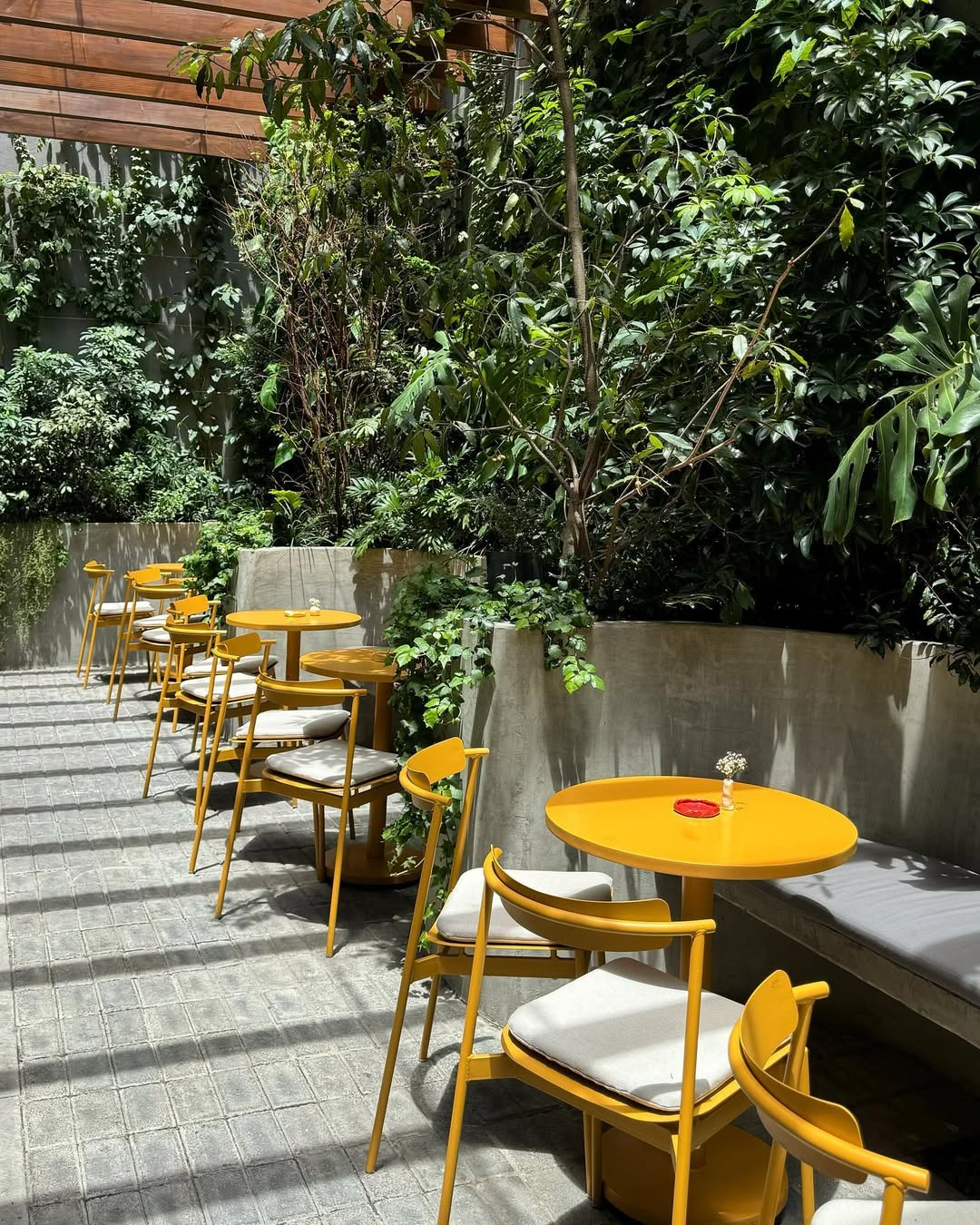 HOT spots & craving: antojos de verano en la CDMX