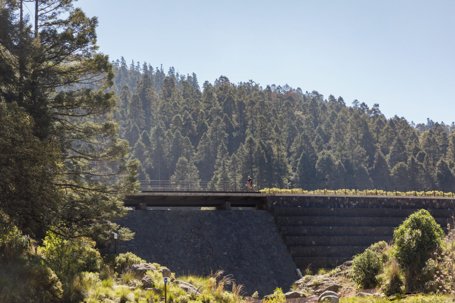 Vivir en el bosque: Conoce el lujo regenerativo de Reserva Santa Fe
