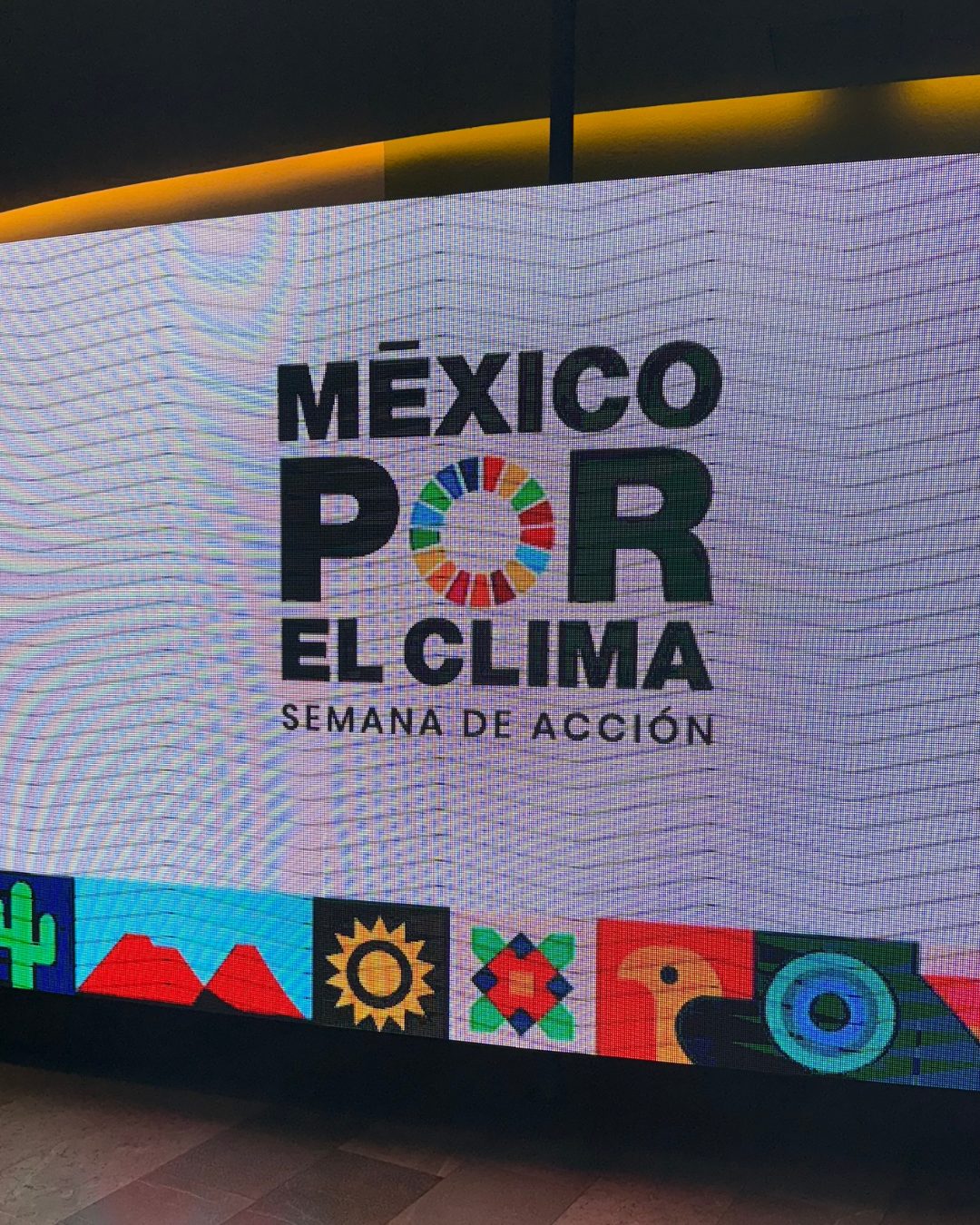 México por el clima: La visión de Ana Cristina Tovalín y los esfuerzos de Nestlé por un México más sostenible