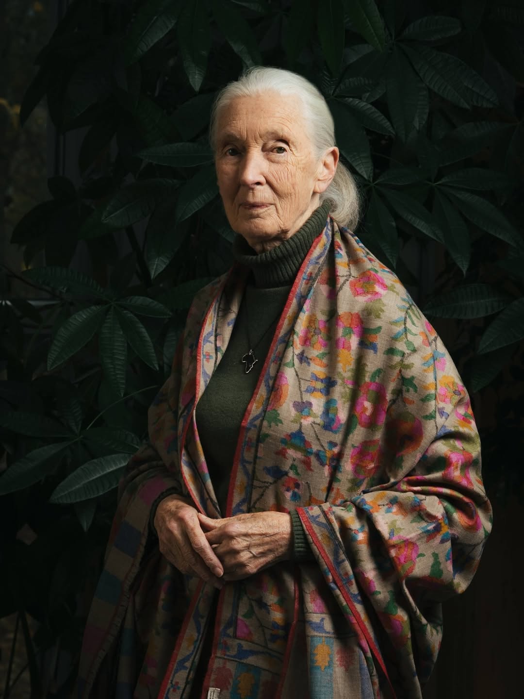 Dra. Jane Goodall (1934-2025): una vida dedicada a la conservación de los chimpancés