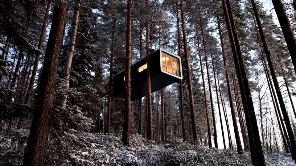 Glamping aéreo: las 5 mejores casas de árbol para hospedarse con lujo