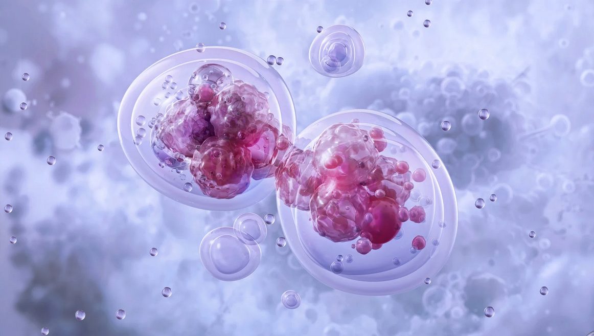 Metabolic Beauty: el skincare desde adentro