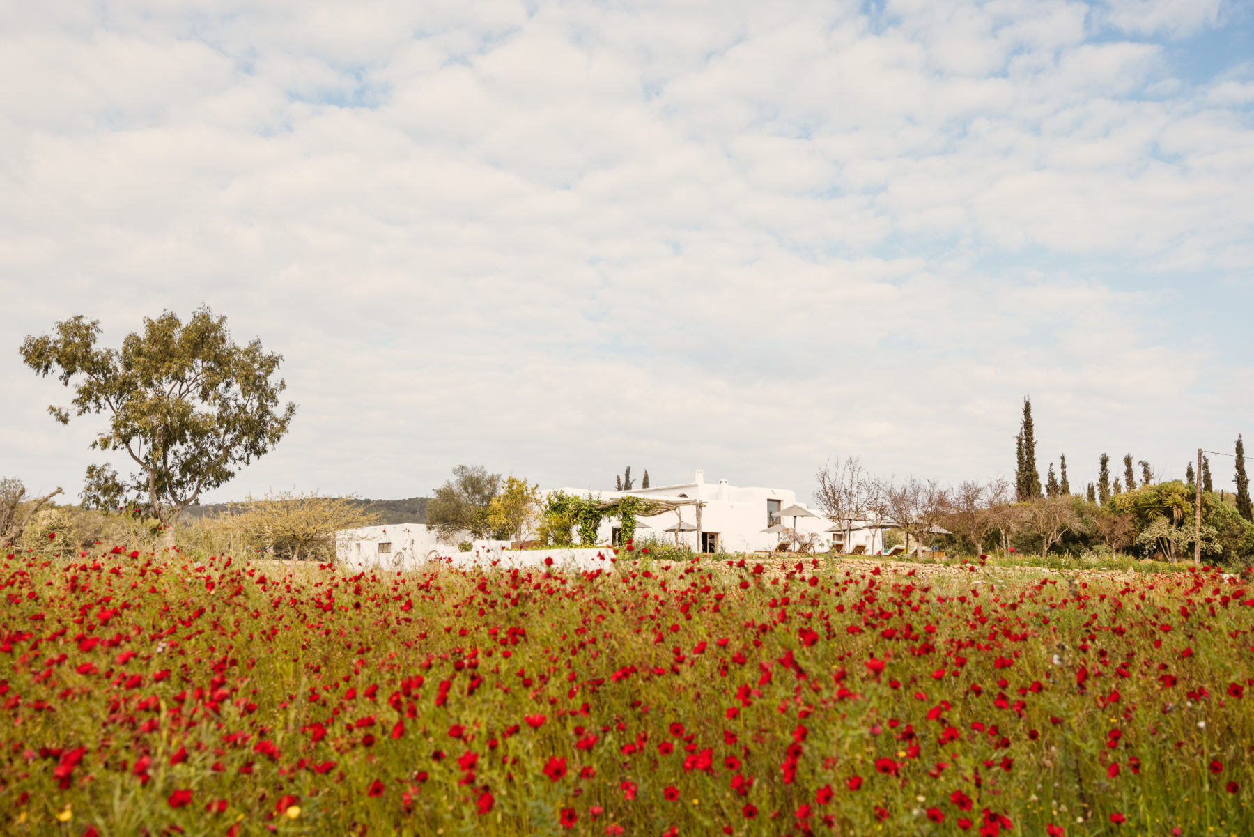 Así es The Farm, la experiencia de Six Senses Ibiza en Can Tanca