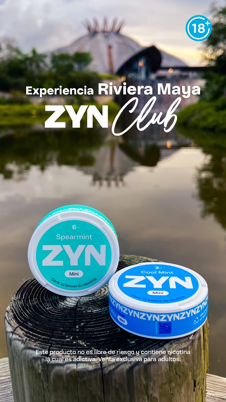 Zyn