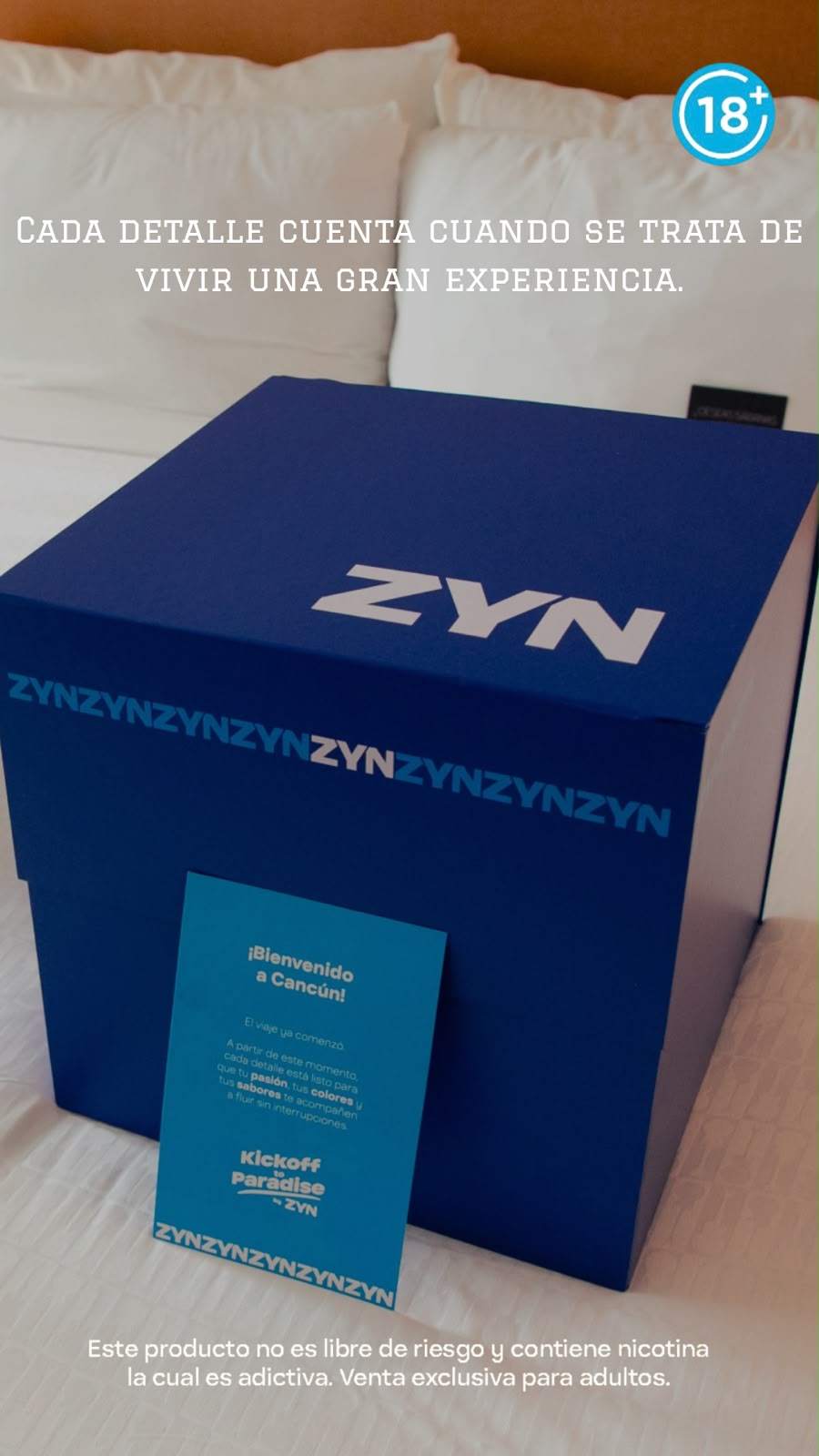 Zyn